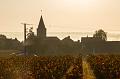 Vosne-Romanée,  Côte d'Or morning IMGP3715